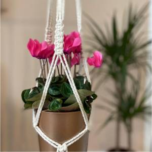 Handgefertigte Makramee Blumenampel in Weiß - Modernes Boho Design - Perfekte Dekoration für Pflanzenliebhaber - Innen- Bild 2