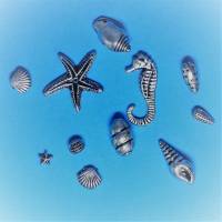 Perlensortiment Meeresmotive, 50 Acrylperlen, altsilber, Seepferdchen, Muscheln, Kunststoffperlen, Perlenmix, Perlenset Bild 2