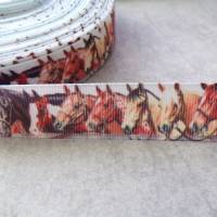 Pferd Pferde, Hengst, Ripsband, Band 22 mm  Borte Bild 2