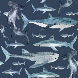 Jersey (Bio) Haie - Eigenproduktion Bild 1