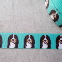 Berner Sennenhund   Ripsband, Band 22 mm  Borte Bild 1