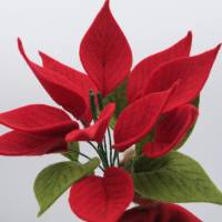 Weihnachtsstern - Blumenkind - Jahreszeitentisch - Waldorf Art Bild 5