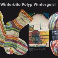 Opal Hundertwasser II, Sockenwolle 4fach, 100 g, Farbe "Winderbild Polyp Wintergeist" (2104) Bild 3