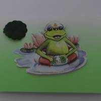 Karte - Grußkarte  Glückwunschkarte zum Geburtstag mit 3-D-Motiv Kapitän Frosch - Humor Bild 2