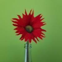 Farbenfrohe Blume aus Merinowolle in rot Bild 1