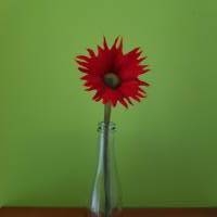 Farbenfrohe Blume aus Merinowolle in rot Bild 2