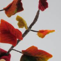 Herbstefeu - Efeu - Blumenkind - Jahreszeitentisch - Waldorf Art Bild 7