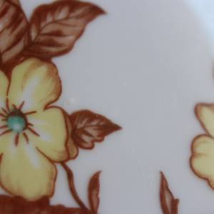 Barockstil Prunkteller Zierteller Obstteller Servierteller Blumendekor Reichenbach Porzellan 30er 40er Jahre Bild 7