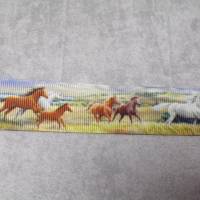 Pferde Wildpferde  Ripsband, Band 25 mm  Borte Bild 2