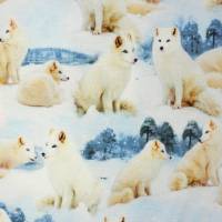 Jersey mit Huskies Hunden Schlittenhunde Schnee 50 x 155 cm Nähen Stoff  ♕ Bild 1
