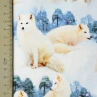 Jersey mit Huskies Hunden Schlittenhunde Schnee 50 x 155 cm Nähen Stoff  ♕ Bild 3