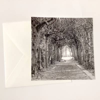 Briefkarte Laubengang quadratisch schwarzweiß Trauerkarte