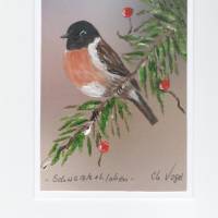 Grußkarte,  Vogelmalerei-    Schwarzkehlchen, handgemalt Bild 1
