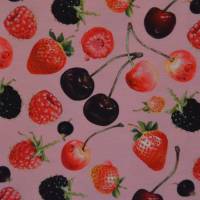 Jersey mit Beeren Kirschen Himbeeren Erdbeeren 50 x 150 cm Nähen Stoff ♕ Bild 3