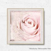 ROSA ROSE im Vintage Style Blumenbild auf Holz Leinwand Kunstdruck Wanddeko Landhausstil Vintage Style günstig kaufen Bild 5