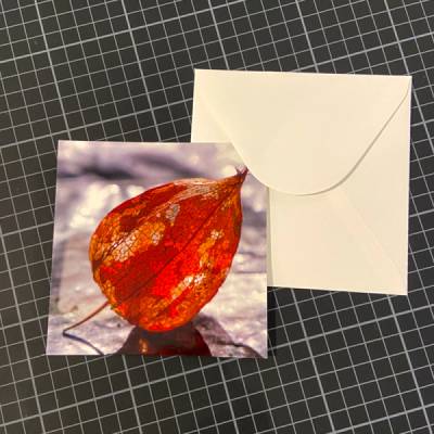 Briefkarte Physalis quadratisch
