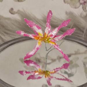 Lilie Drahtblume für immer Deko - pastellfarben  Blütenblatt zierlich  hübsche niedliche Blume romantisch Pflanzenliebha Bild 4