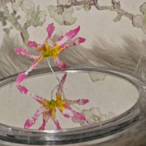Lilie Drahtblume für immer Deko - pastellfarben  Blütenblatt zierlich  hübsche niedliche Blume romantisch Pflanzenliebha Bild 5