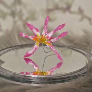 Lilie Drahtblume für immer Deko - pastellfarben  Blütenblatt zierlich  hübsche niedliche Blume romantisch Pflanzenliebha Bild 7