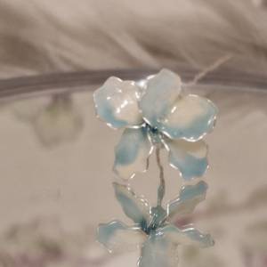 Drahtblümchen babyblau weiß Blütenblatt zierlich hübsche niedliche Blume romantisch Pflanzenliebhaber Geschenk Florist G Bild 1