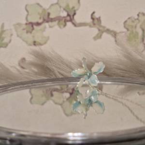 Drahtblümchen babyblau weiß Blütenblatt zierlich hübsche niedliche Blume romantisch Pflanzenliebhaber Geschenk Florist G Bild 4