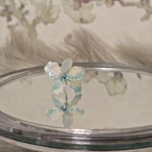 Drahtblümchen babyblau weiß Blütenblatt zierlich hübsche niedliche Blume romantisch Pflanzenliebhaber Geschenk Florist G Bild 5