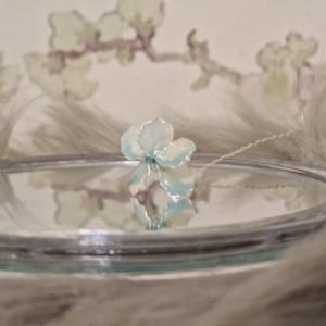 Drahtblümchen babyblau weiß Blütenblatt zierlich hübsche niedliche Blume romantisch Pflanzenliebhaber Geschenk Florist G Bild 6