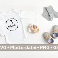Meilensteine für Babys SVG, DIY Plotterdatei, Babymonatskarten, Digitale Datei, SVG Datei Bild 3
