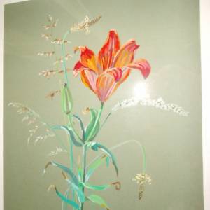 Original Gouache/Aquarell Lilie Feuerlilie Blumen Blüten Landhaus Cottage Bild 3