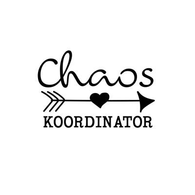 Bügelbild I Chaos Koordinator I Geburt I Baby I Mama I Papa I Geschenk I Geburt I Familie I 56 Farben zur Auswahl