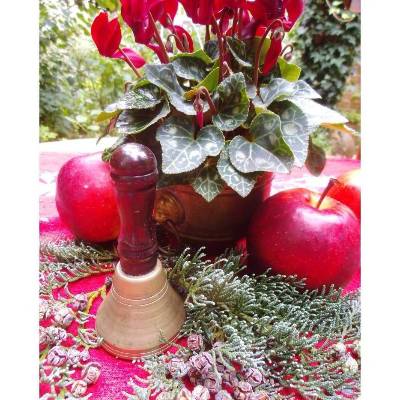 Messingglocke Glocke Weihnachtsglocke Handglocke Landhaus Cottage