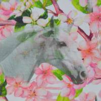 ♕ Jersey mit weißen Pferden und Apfelblüten Stenzo Digitaldruck 50 x 150 cm ♕ Bild 4