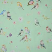 ♕ zartgrüner Jersey mit Vögeln Zweigen und Blumen  50 x 150 cm Stoff Nähen ♕ Bild 1