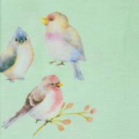 ♕ zartgrüner Jersey mit Vögeln Zweigen und Blumen  50 x 150 cm Stoff Nähen ♕ Bild 5