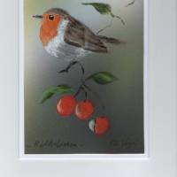 Grußkarte,  Vogelmalerei-    Rotkehlchen-   handgemalt