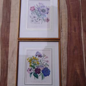 2 botanische Lithographien Blumenbild Blumenstrauß Cottage Landhaus Bild 1