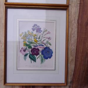 2 botanische Lithographien Blumenbild Blumenstrauß Cottage Landhaus Bild 3