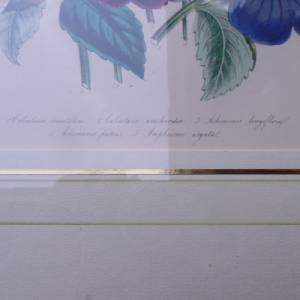 2 botanische Lithographien Blumenbild Blumenstrauß Cottage Landhaus Bild 4