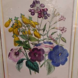 2 botanische Lithographien Blumenbild Blumenstrauß Cottage Landhaus Bild 6
