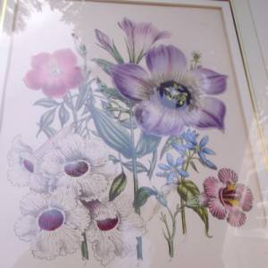 2 botanische Lithographien Blumenbild Blumenstrauß Cottage Landhaus Bild 8