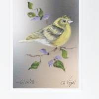 Grußkarte,  Vogelmalerei-   Girlitz,   handgemalt