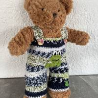 NEU Trägerhose für Teddy  38 -  40 cm mit  Frosch  Unikat !!!   Bärenkleidung ! Bild 1
