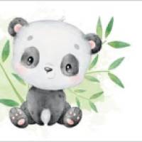 ECO Kinderbordüre: Niedliche Pandabären - nach Aquarellart - 20 cm Höhe Bild 6
