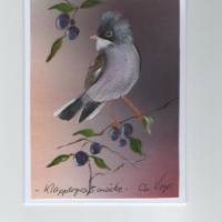 Grußkarte-  Vogelporträt-   Klappergrasmücke-  handgemalt