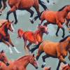 Jersey mit Pferden Pferde 50 x 150 cm Nähen Stoff Pferdeherde Digitaldruck ♕ Bild 3