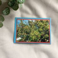 Grußkarte, Glückwunschkarte, Fotokarte, Kunstkarte, „Apfelbaum“, Klappkarte mit Umschlag, 10,5 x 14,8 cm Bild 1
