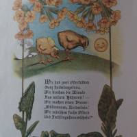 Herzblättchens Zeitvertreib -  Nr. 64   Jahrgang 1897 - 1918 Bild 2