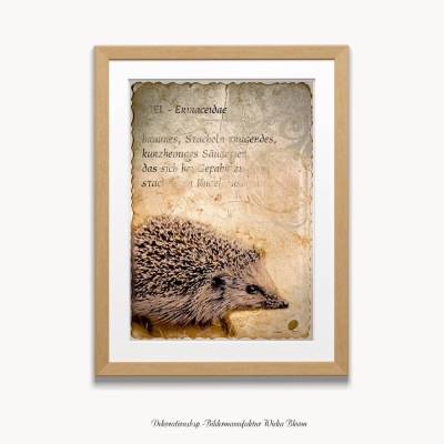 IGEL im Vintage Style sephia, DIGITALES BILD ZUM DOWNLOAD & DRUCKEN Wanddeko Poster Karte Geschenkidee Printable