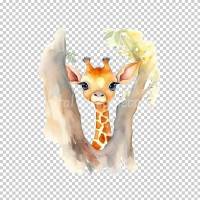 Süße Baby Giraffen - PNG Bilder Bundle, Hochauflösende Aquarell Grafiken, Transparenter Hintergrund Bild 3