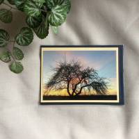 Grußkarte, Trauerkarte, Fotokarte, Kunstkarte, „Apfelbaum im Abendlicht“ Klappkarte mit Umschlag, 10,5 x 14,8 cm Bild 1